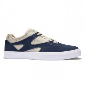 DC Kalis Vulc Skateskor Herr Marinblå Khaki | JZBQ-02613